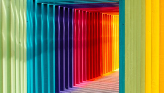 Renklerle İnsanları Tanıma Sanatı Eğitimi